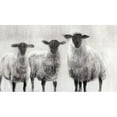 thumbnail image 3 of Harper, Ethan 18x12 Black Modern Framed Museum Art Print Titled - Rustic Sheep I, 3 of 5