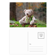 thumbnail image 1 of Teddy Bear luz ciencias forestales la naturaleza Set cumpleaños gracias tarjeta postal correo lado 20pcs, 1 of 3