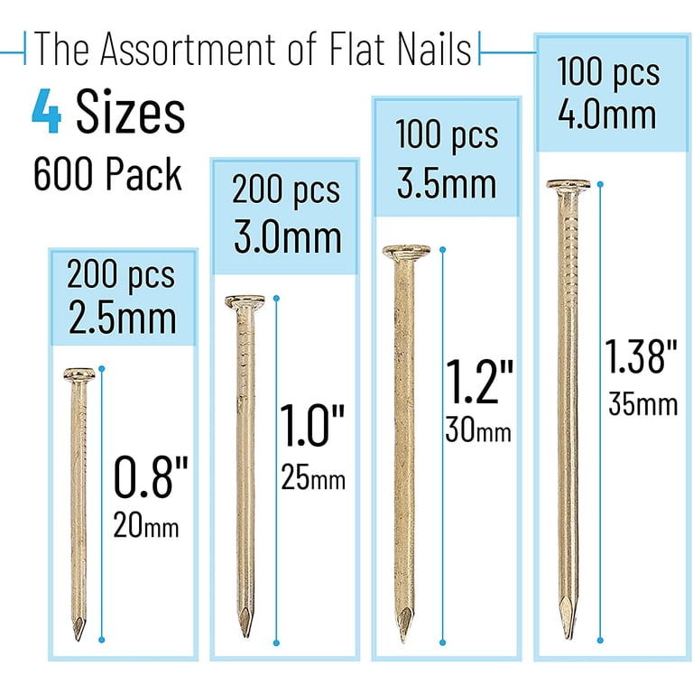 Finishing Nails Assortment Kit, 600-Piece, Four Sizes photo 6