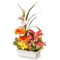 thumbnail image 1 of National Tree NF36-5522 Potted Daisies & Lilies, 1 of 1