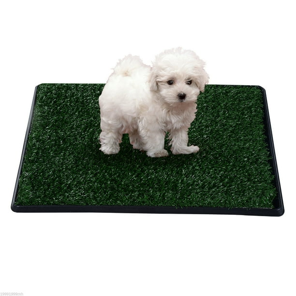 Dog toilet mats online