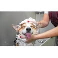 thumbnail image 2 of Dog and Cat Shampoo Baking Soda Fresh Cotton Scent Plus Soft and Odor Free Coat (2.5 Gallons), 2 of 6