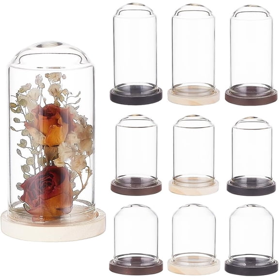 15 Sets Mini Clear Glass Cloche Dome 1.5/2/2.3 Inch Glass Display Cloche Dome with 3 Colors Solid Wood Base Cloche Bell Jar for Flower Decorations Crafts Mixed Color