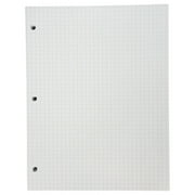 School Smart Graph Grid Paper, 3-Hole Punched, 8-1/2 x 11 Inches, 500 Sheets