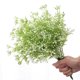 thumbnail image 1 of unbranded 3Ud Adorno De Planta Artificial Con Flores Simuladas Y Material Resistente Para Decorar Espacios, 1 of 7