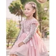 thumbnail image 3 of Lanbubble Toddler Girls Dresses Long Sleeve Velvet Tutu Dress Tulle Birthday Party Princess Dress for girl 1-6T, 3 of 7