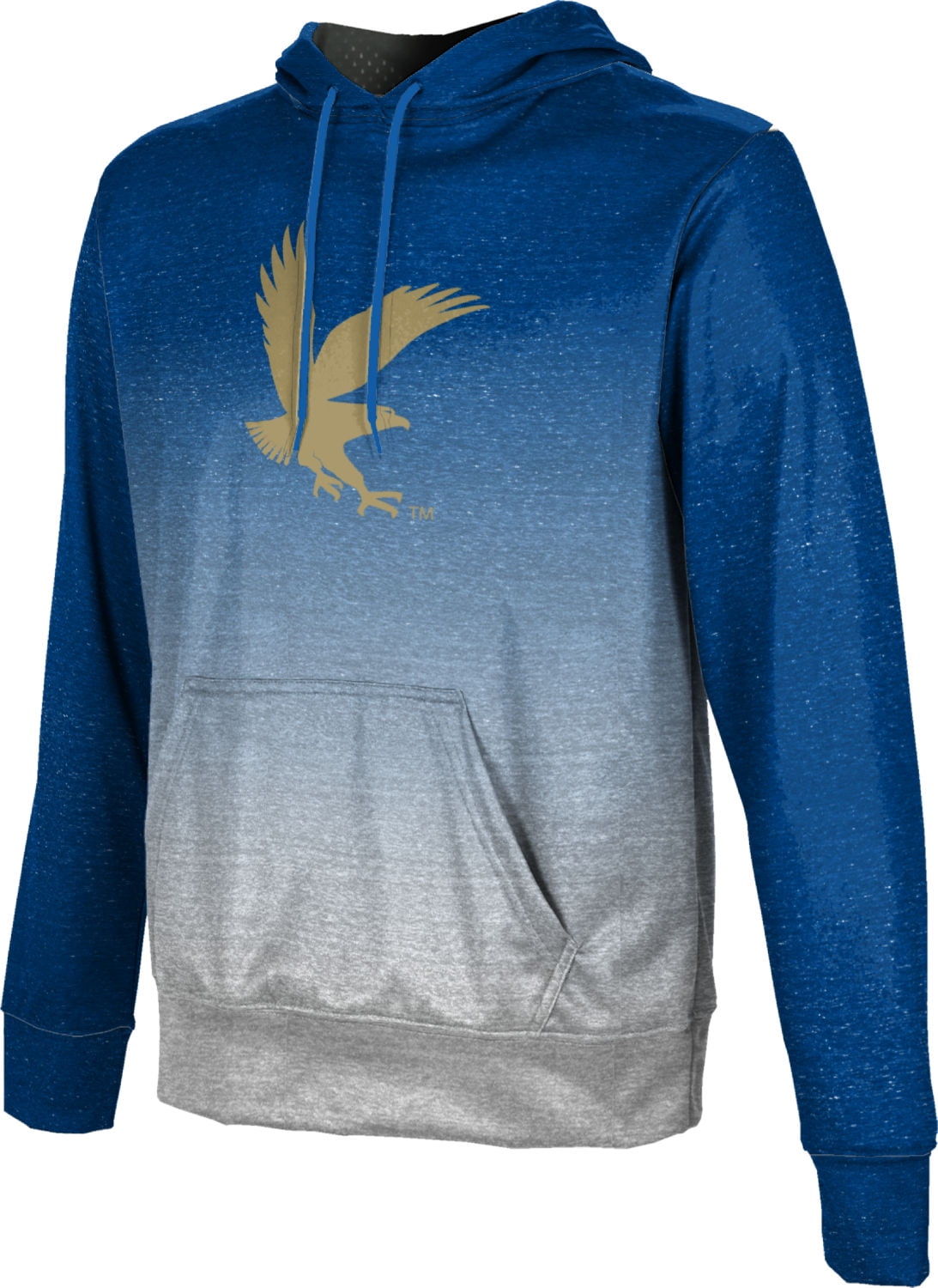 ProSphere Embry-Riddle Aeronautical University Worldwide Boys Pullover Hoodie Ombre