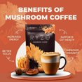 Mushroom Coffee, Organic, Naturally Caffeinated, DairyFree, Gluten