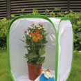 thumbnail image 2 of Light Transmission Cage,Folding Collapsible Ventilated Insect Foldable Insect Cage Insect Cage Exceptional Value, 2 of 8