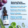 thumbnail image 4 of Ebanel Hyaluronic Acid Serum for Face with Peptides, Hydrating Age-Defying Serum with Vitamin C, E, B5, Niacinamide, Aloe, Jojoba Oil & MSM, Helps Visibly Plump, Firm & Smooth Skin, Supports Even Ton, 4 of 8