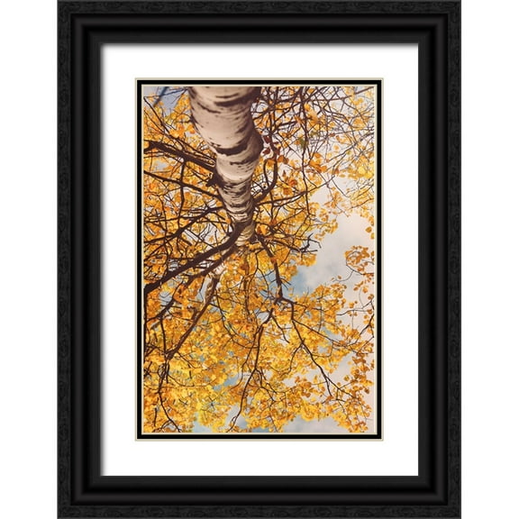 Joy, Olivia 11x14 Black Ornate Wood Framed with Double Matting Museum Art Print Titled - Fall Coloured Leaves
