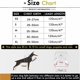 thumbnail image 2 of BR-Vie Arnés y correa de malla suave para gatos, reflectante, a prueba de fugas, ajustable, anti tirones, para perros pequeños, cachorros, gatitos, negro, mediano esquí esquí Gafas de esquí, 2 of 5