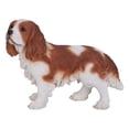 thumbnail image 5 of Hi-Line Gifts King Charles Spaniel Dog Outdoor Garden Statue - 16.25" - Brown and White, 5 of 5