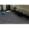 thumbnail image 5 of G-Floor 5 ft x 10 ft Vinyl Levant Pet Friendly Carpet Protector for Dogs & Cats - Slate Grey, 5 of 6