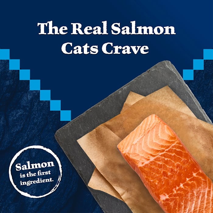 Blue Buffalo Wilderness High-Protein Salmon Mature Cat Food, 7+ Years, 5lb photo 3