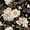 Black Silver Tan, variant on Manfei Vintage Floral Leaves Twin Sheets 3pcs,Minimalist Stripes Bedding,1 Flat Sheet,1 Fitted Sheet and 1 Pillowcase