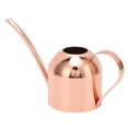 thumbnail image 3 of Watering Can, Anti Rust Stainless Steel Scratch Proof No Corroding Garden Watering Can  For House Bonsai, 3 of 8