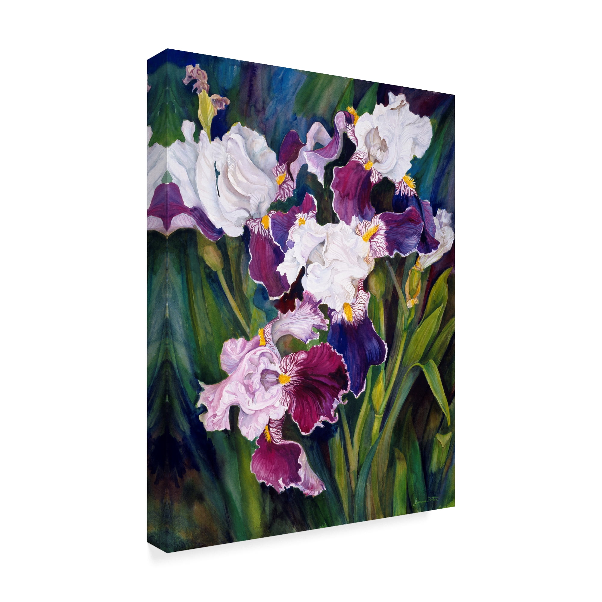 Trademark Fine Art 'Wind Blown Iris' Canvas Art by Joanne Porter