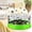 C001- Green, variant on Fly Traps IndoorforHome, Gnat TrapsforHouse Indoor, 4inTransparent Fly Sticky Trap, Fungus Gnat TrapforPotted Plants