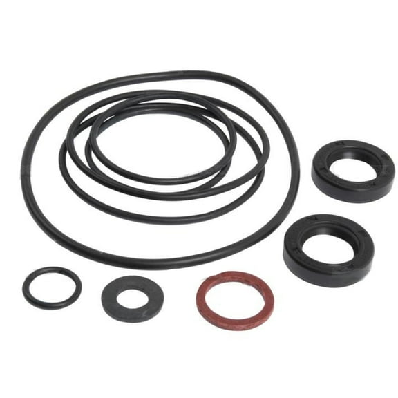 RAParts 1810509M91 Power Steering Pump Seal Kit Fits Massey Ferguson Models 165 168 175 178