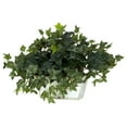 thumbnail image 2 of Nearly Natural Ivy with White Wash Planter - Silk Plant Green, 2 of 5