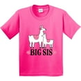 thumbnail image 3 of Inktastic Big Sis Girls Llama Sister Youth T-Shirt, 3 of 5