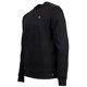 thumbnail image 3 of U.S. POLO ASSN. Sudadera para hombre - Felpa cepillada, cuello redondo, logotipo, mezcla de algodón Negro 2XL (XX-Large), 3 of 3