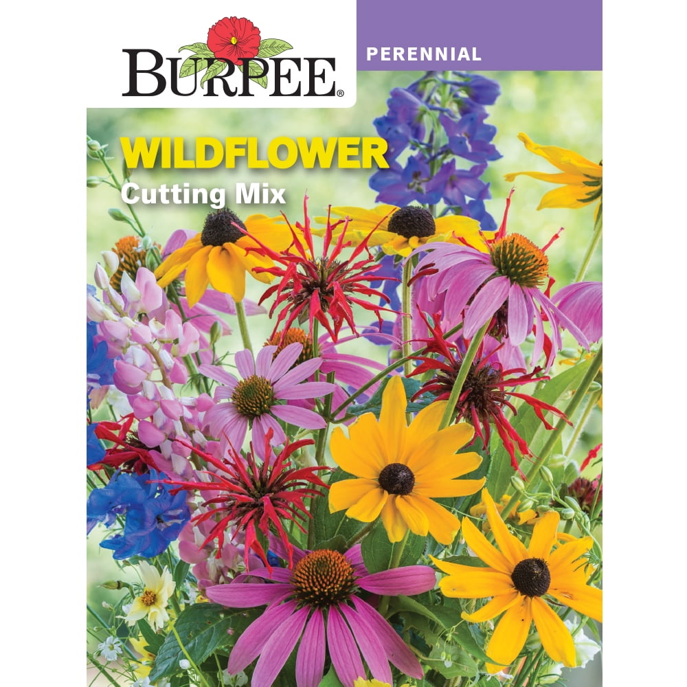 Burpee Cutting Mix Wildflower Flower Seed, 1-Pack - Walmart.com