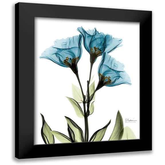 Koetsier, Albert 12x14 Black Modern Framed Museum Art Print Titled - Gentian L301