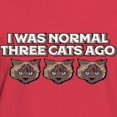 thumbnail image 3 of CafePress - I Was Normal Three Cats Ag Women's Classic T Shirt - Women's Traditional Fit Dark T-Shirt, 3 of 4
