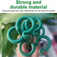 thumbnail image 5 of Taicans 10Pcs Plant Support Stakes,20 inch Plant Stakes Garden Orchid Sticks,Plant Sticks Support Tall for Monstera,Orchids,Tomatoes,Vines & Indoor Outdoor Plants, 5 of 9