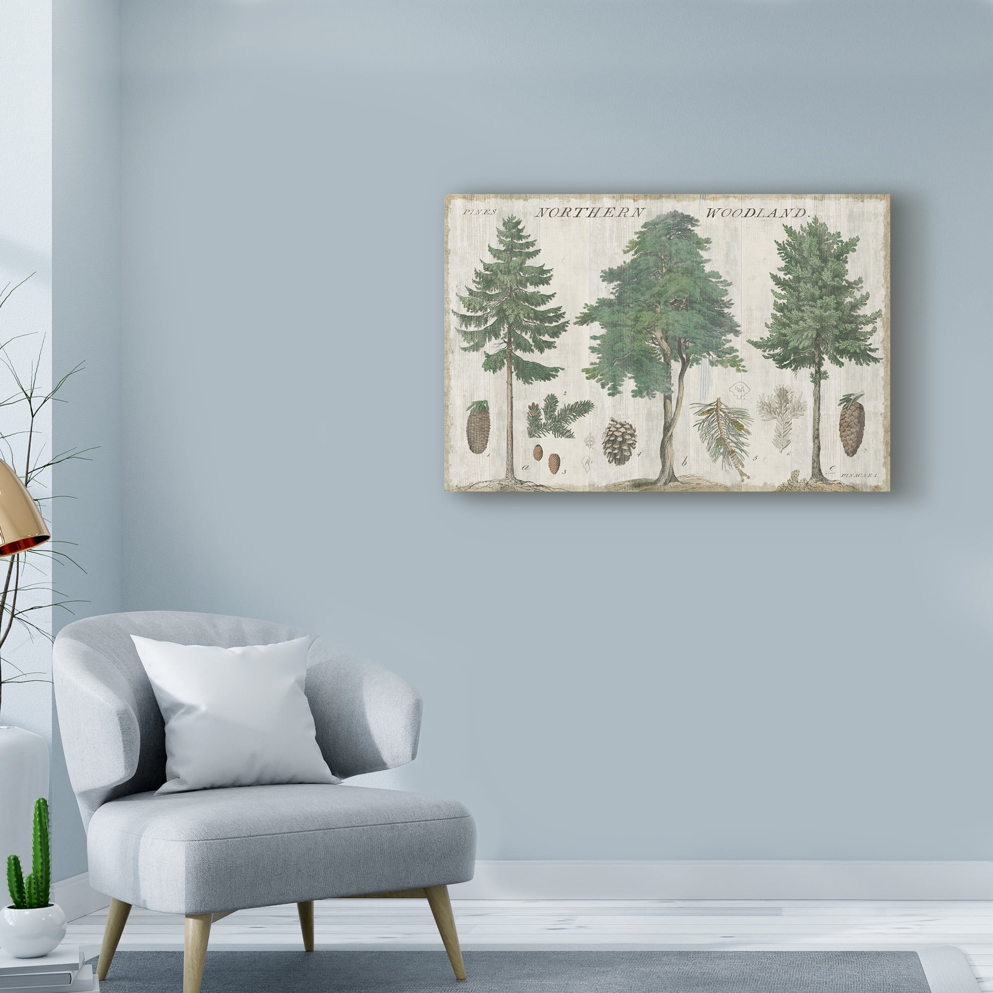 Trademark Fine Art 'Woodland Years I' Canvas Art by Sue Schlabach