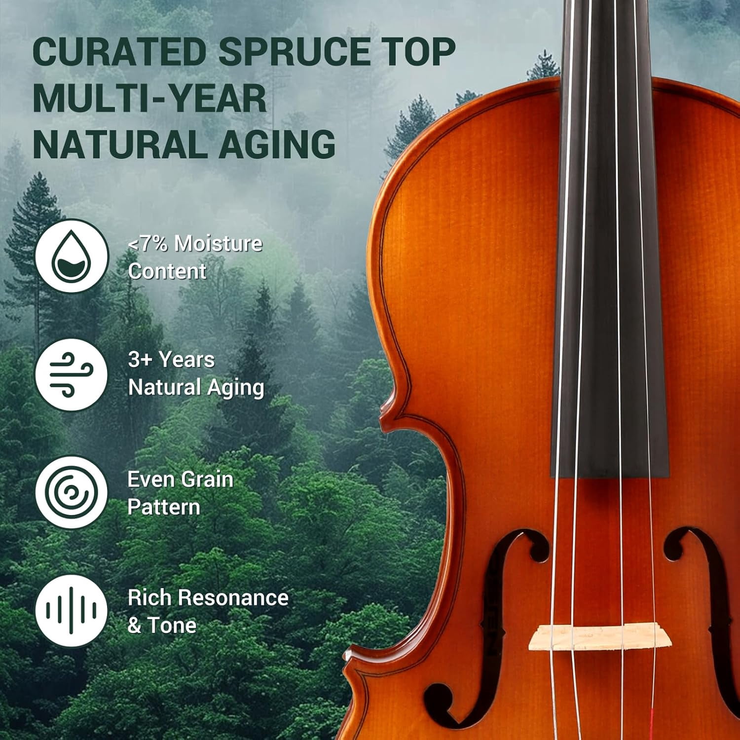 Professional 4/4 Full Size Violin Set - Durable, Lightweight Design with Stable Rich Sound, Smooth Finish & Complete Accessories, Ideal Unique Gift for Musicians