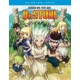 thumbnail image 1 of FUNIMATION-SDS DR Pierre-Saison 1 Partie 1 (BLU-RAY/DVD/COMBO/4 Disque/fun DIG) BRCR10200, 1 of 3