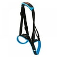 thumbnail image 2 of Dog Lift Harness, Pet Rear Support Aid Veterinarian Approved Sling for Old K9 Help with Poor Stability, Back Leg Hip Disabled Joint, 2 of 7