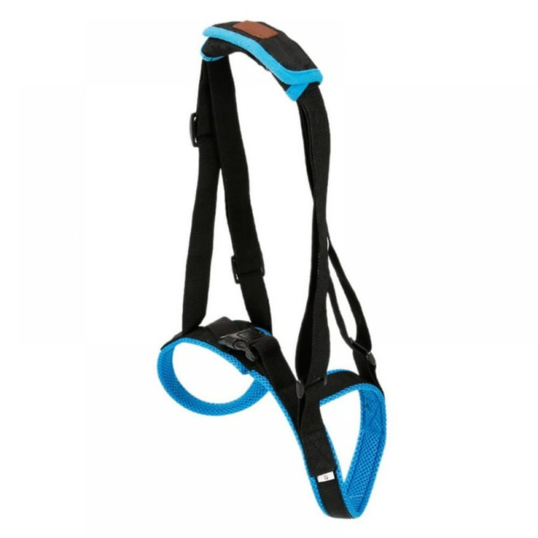 DABOOM Pet CareLift Rear Support Harness Lifting Aid with Handle and Shoulder Strap Great for Pet Mobility and Older Dogs Comfortable Breathable Material Easy to Adjust Walmart
