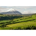 thumbnail image 6 of 2 Bag 9oz Kantu 7000 Medium Roasted Coffee Beans Grown @ High Altitude ECUADOR ❤, 6 of 6