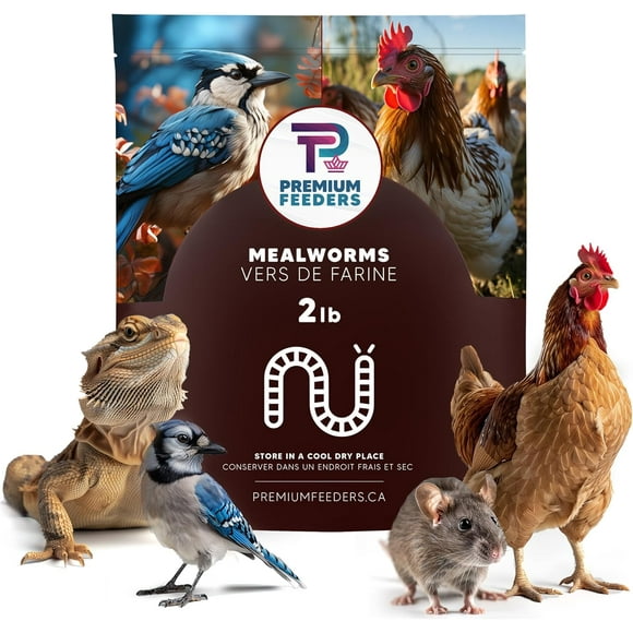 2LB - MEALWORMS by Premium Feeders – Approx 32000+ Dried Mealworms - Chicken & Bird Feed - Meal worms Treats - High Protein – Mealworm for Chickens, Wild Birds, Hens, Rat, Fish, Hedgehog & Hamster