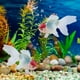 thumbnail image 5 of Decoración artificial flotante de pez dorado | Peces falsos de plástico realistas para acuario | Peces dorados amarillos y rojos nadando de forma realista para estanque o tanque, 5 of 6