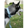 thumbnail image 3 of HSHDLDF Country Brook Petz Ocean Blue Martingale Heavy Duty Nylon Dog Collar 21 Vibrant Color Options (3/8 Inch Width, Mini), 3 of 7