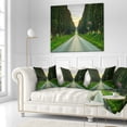 thumbnail image 2 of Designart Straight Road through Cypress Trees - Landscape Wall Throw Pillow - 16x16, 2 of 4