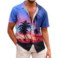 thumbnail image 1 of Camisa de playa de manga corta hawaiana para hombre, camisas informales con botones de verano estampadas Pompotops oipoqjl44840, 1 of 7