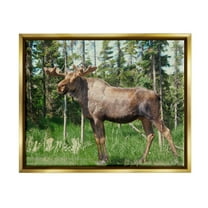 Stupell Moose Forest Grove Woodland Landscape Animals & Insects Photography Gold Floater Framed Art Print Wall Art