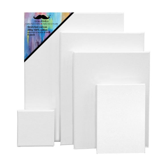 5 Sizes Canvas Panels Set 10/Pack,9.9 Oz Triple Primed 100% Cotton Acid Free Artist Canvas Boards