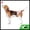 Red White M, variant on Unique Bargains Dog Diapers for Female Dogs Washable Reusable Panties Red White S