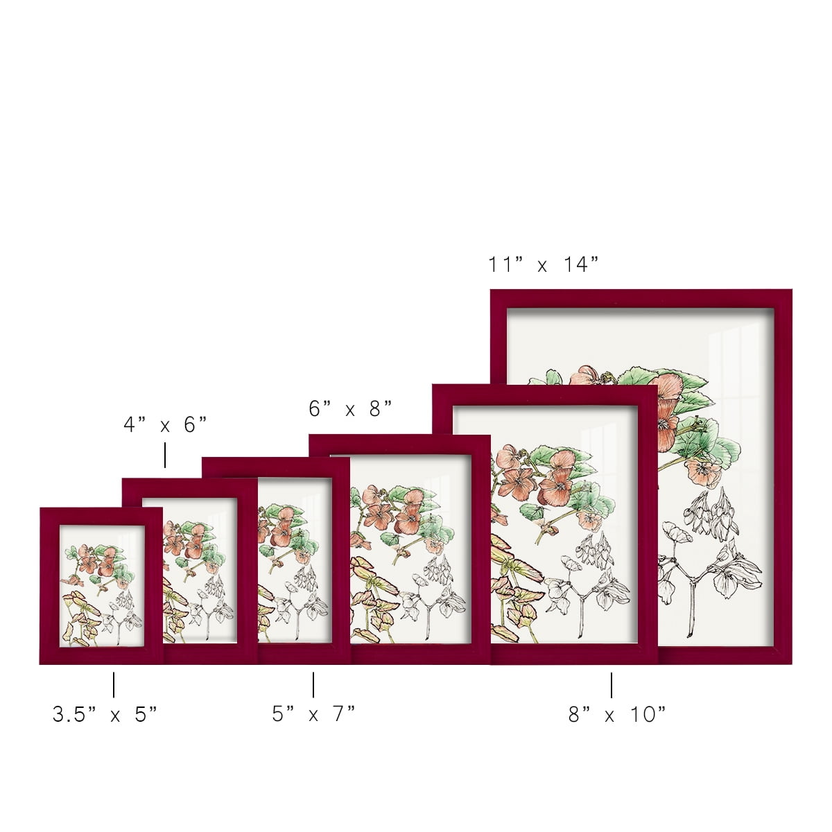 Begonia Study -Framed Print w/glass-Cherry Red