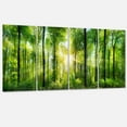 thumbnail image 2 of Designart 'Forest with Rays of Sun Panorama ' Landscape Art Print Canvas, 2 of 3