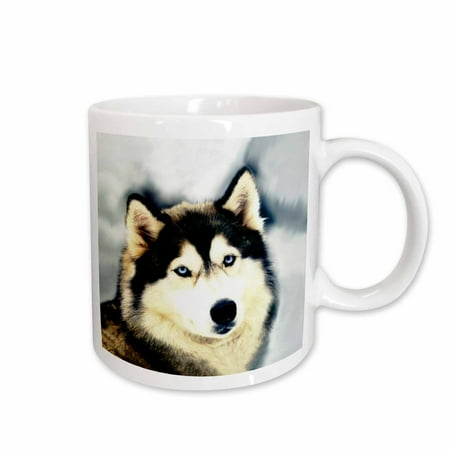 

3dRose Staring Siberian Husky Ceramic Mug 11-ounce