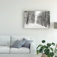 thumbnail image 3 of Trademark Fine Art 'A Snowy Walk III' Canvas Art by James McLoughlin, 3 of 4