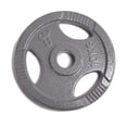 thumbnail image 1 of Disco de peso Unifitness gris de 10 kg, 1 of 1